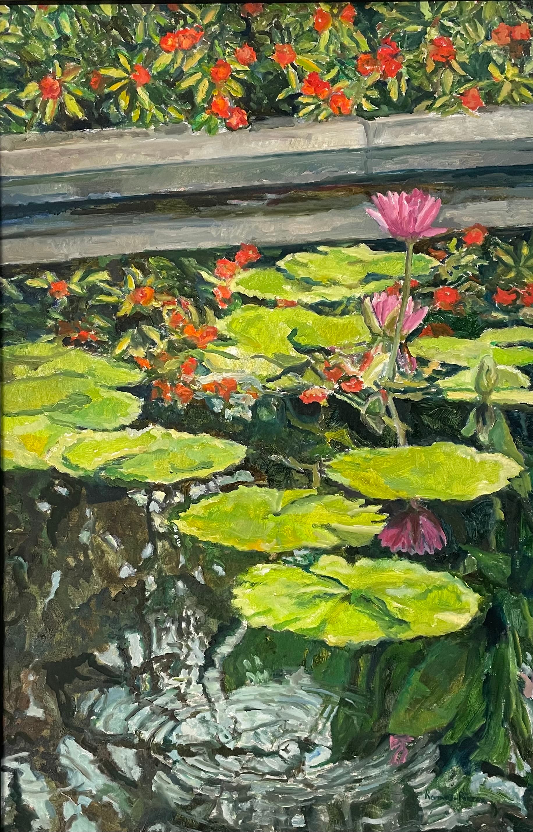 Estanque de nenúfares