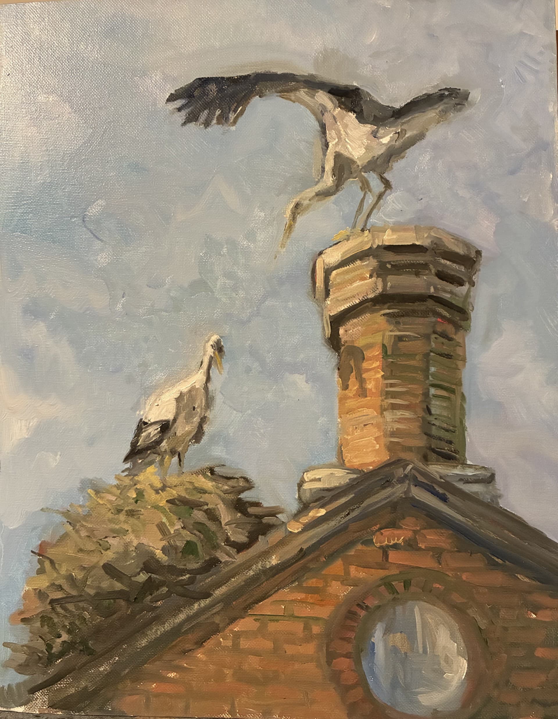 Storks bring me memories of Spain