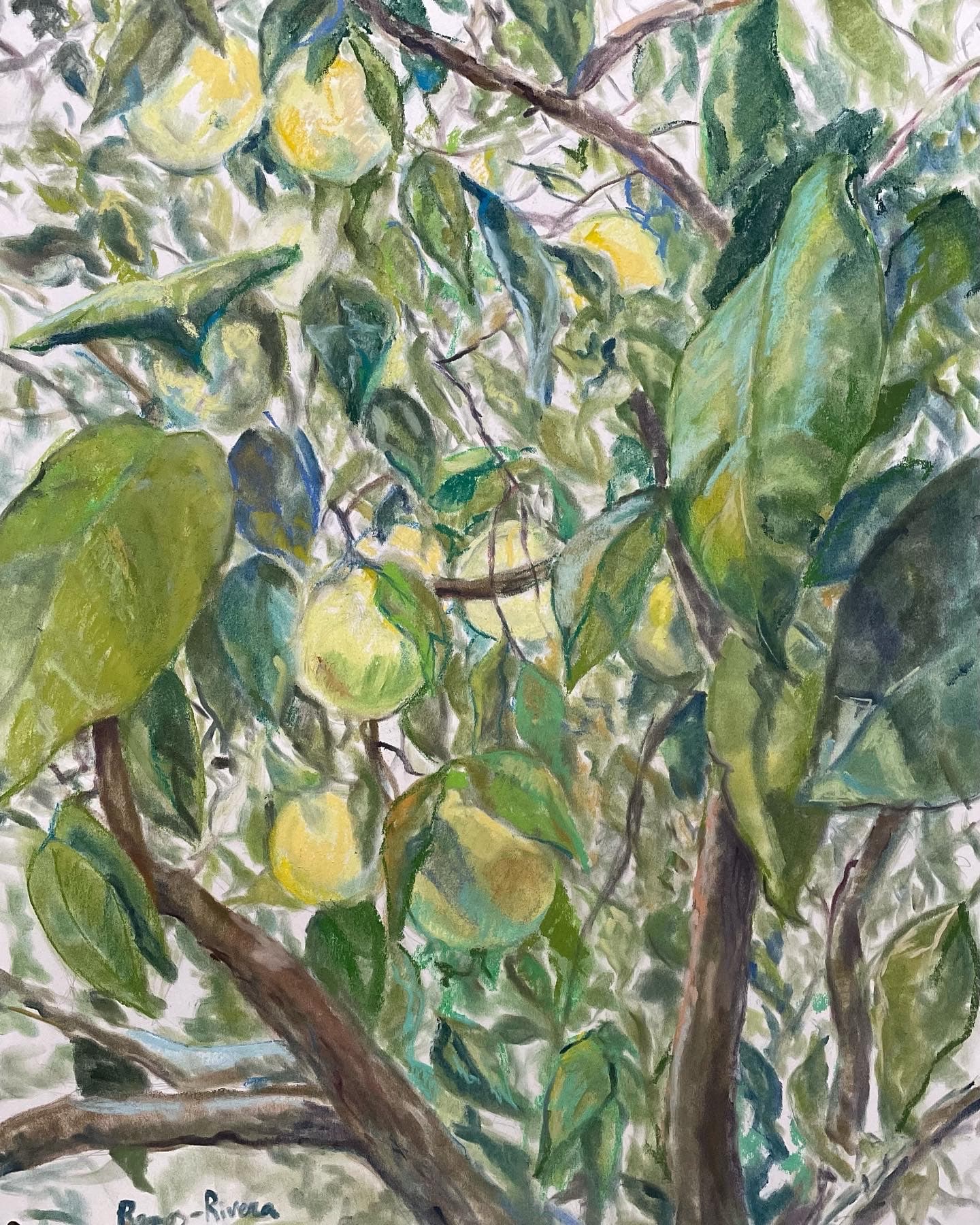 Grapefruits can also be sweet